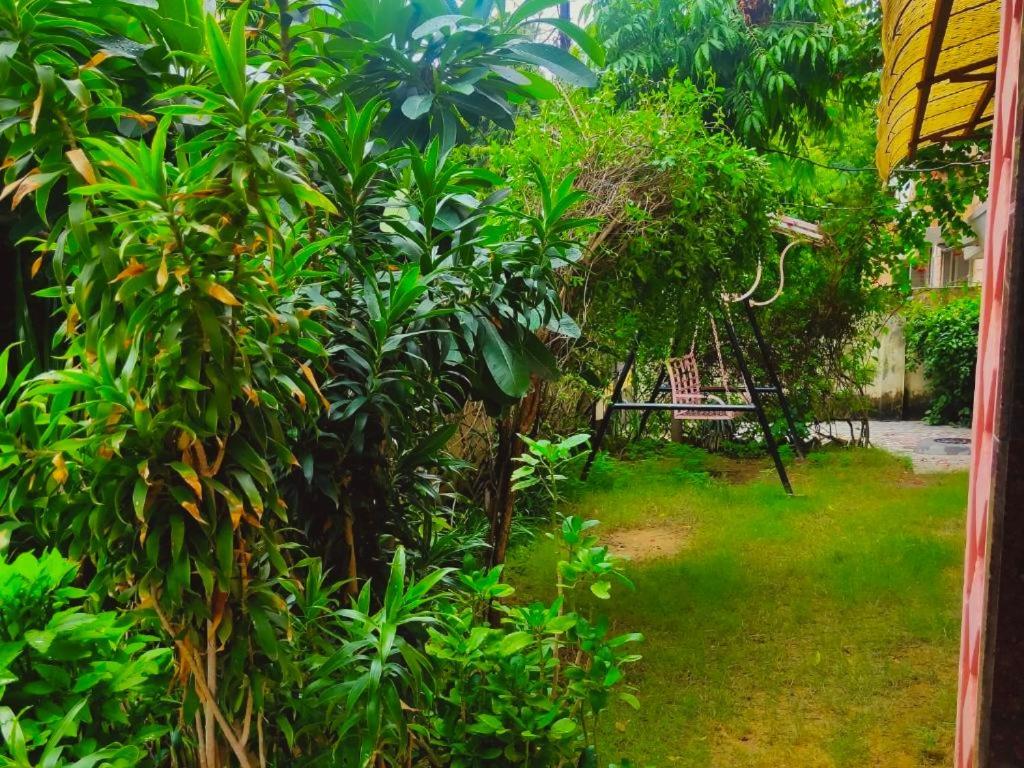Jwala Niketan Eco Homestay 斋浦尔 外观 照片